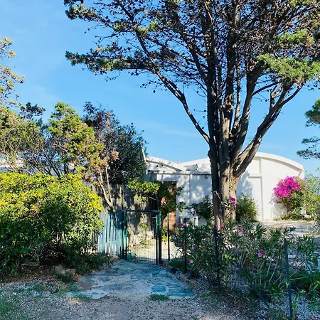 Villa 3p Lumio (Corsica)