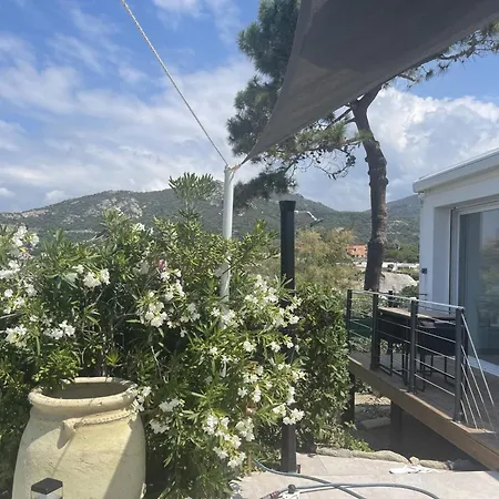 Villa 3p Lumio (Corsica)